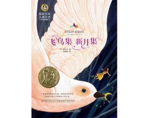 International Prize for Children's Literature国际大奖儿童文学 (12T) A