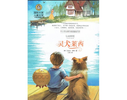 International Prize for Children's Literature国际大奖儿童文学 (12T) A