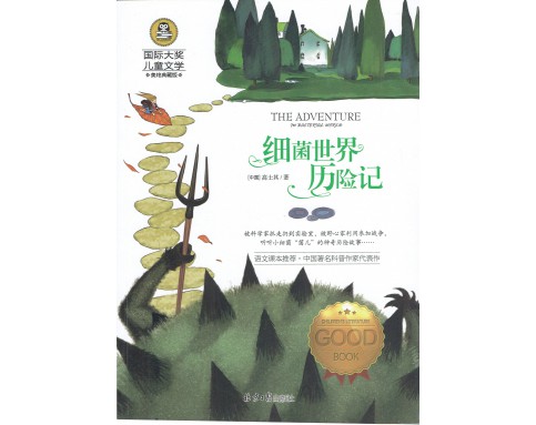 International Prize for Children's Literature国际大奖儿童文学 (12T)