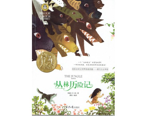 International Prize for Children's Literature国际大奖儿童文学 (12T) A