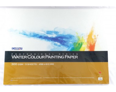 Campap watercolor painting paper 5's 300g